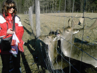Winter2004,2005 068