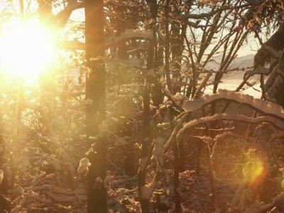Banner2