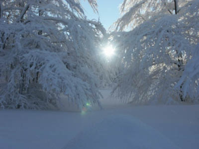 Traumwinter2006 143
