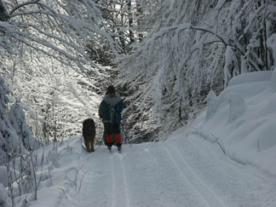 Traumwinter2006 185