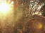 Banner2